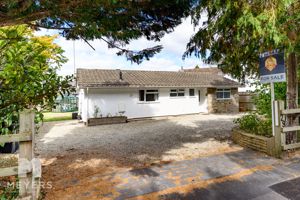 Photo 1- click for photo gallery